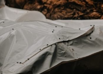 Бишкектеги мейманканалардын биринде 3 адамдын жансыз денеси табылды