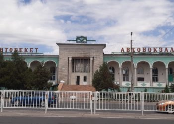 Бишкектеги автобекеттин дааратканасынан өлүү төрөлгөн түйүлдүк табылган