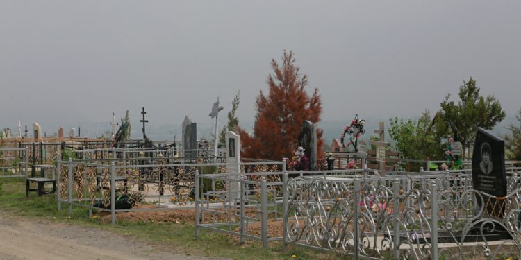 Оштогу мүрзө толуп калган. Бир жылдын ичинде мында жай калбай калышы ыктымал