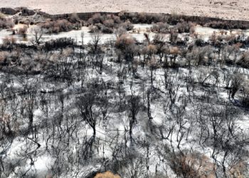 Өрттөн кийинки Боом капчыгайынын кейиштүү абалы (сүрөт)