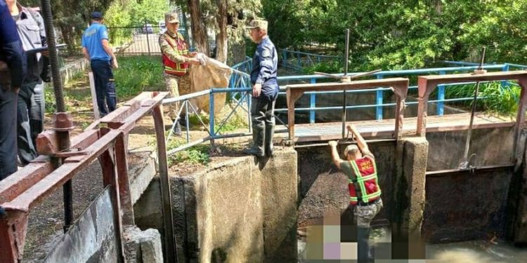 Оштогу каналга түшүп кеткен жарандын жансыз денеси табылды. Анын аты-жөнү такталып жатат
