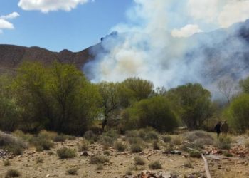 Ысык-Көлдүн Көк-Мойногунда кайра өрт чыкты