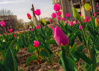 27-апрелге карата өлкөдө күтүлгөн аба ырайы