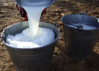 Депутат Талас менен Чүйдө сүттүн баасы 34 сомдон 26 сомго түшүп кеткенин айтты