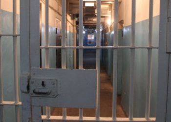 Массалык камоо. Гүлнара Журабаева, Таалайбек Мадеминов жана Улугбек Маматаев үй камагына чыкты