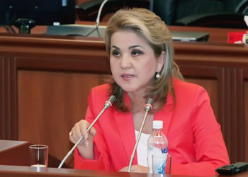 Дамира Ниязалиева депутаттыкка талапкерлигин койду