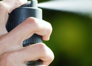 Жалал-Абадда студент группалашына калемпир спрей чачып жиберген