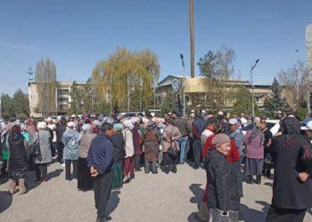 Таласта сүттүн арзан баасына байланыштуу жарандар топтолушту (видео)