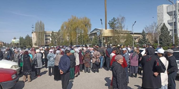 Таласта сүттүн арзан баасына байланыштуу жарандар топтолушту (видео)