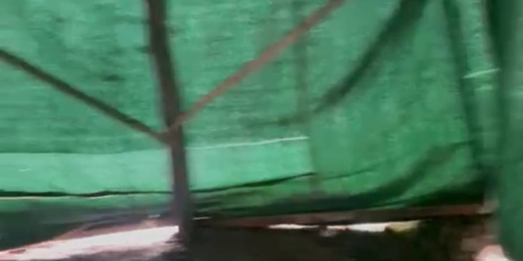 «2 айдан бери 5 балам менен талаада чатырда жашап жатам» деген келин жардам сурайт