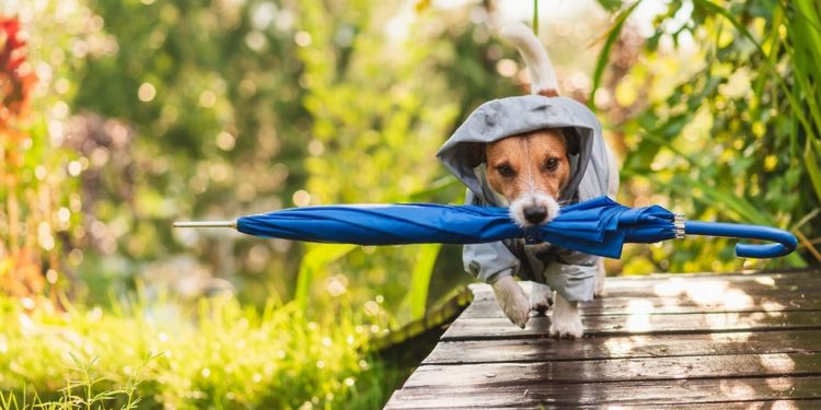 7-апрелге карата өлкөдө күтүлгөн аба ырайы