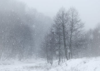 Жети-Өгүздө байланышка чыкпай жаткан 2 киши аман-эсен табылды