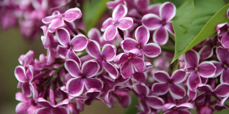 5-апрелге карата өлкөдө күтүлгөн аба ырайы
