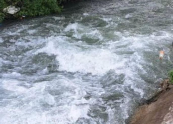 Оштогу каналдан изделип жаткан 2 жаштагы кыздын жансыз денеси табылды