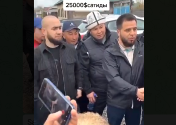 25 миң долларга бааланып, 23 миң долларга сатылган койдун видеосу тарады