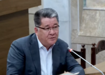 Депутат Таштанбеков аткаминерге дагы бир жолу «эки» коюп, күндөлүк берди