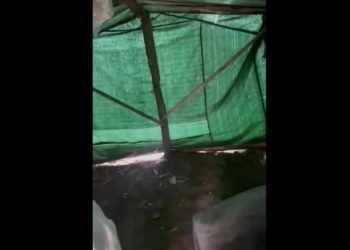 «2 айдан бери 5 балам менен талаада чатырда жашап жатам» деген келинди убактылуу батирге көчүрүштү