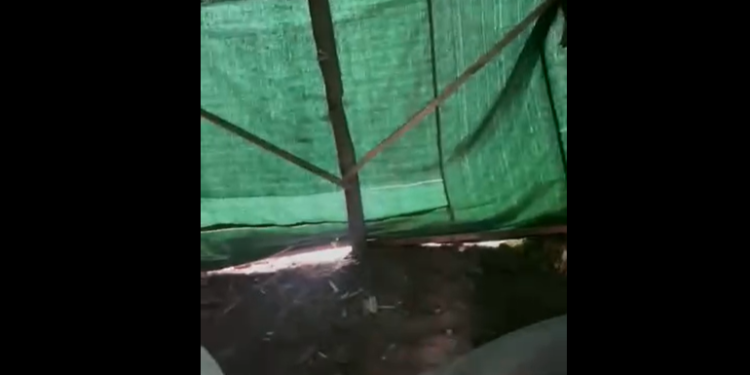 «2 айдан бери 5 балам менен талаада чатырда жашап жатам» деген келинди убактылуу батирге көчүрүштү