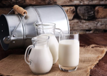 Эмнеге Орусия Кыргызстандан сүт продукциясын ташууга тыюу салды? Бийлик өкүлүнүн жообу