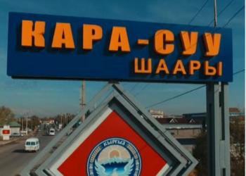 Кара-Сууда эки кичинекей кызга ыплас аракеттерди жасоого шектүү 2 айга камалды