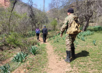 Жалал-Абадда дайынсыз болуп жаткан 14 жаштагы өспүрүм 9 күндөн бери табыла элек