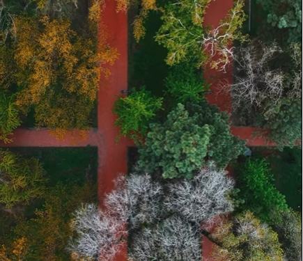 Жаандан кийинки Бишкектеги Эркиндик бульварынын кооздугу (видео)