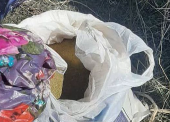 Түптө тургундун үйүнөн 20 килограммга жакын баңгизат табылды (видео)