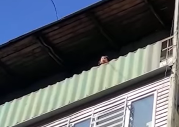 «4 жашар кыз балконго чыгып, жардам сурап». Бишкекте куткаруучулар батирде калган балдарга жардам берди