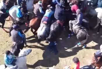 Улак тартыш учурунда жаранды тепсеп кеткен видео Казакстанда тартылганы маалым болду