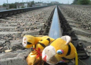 Чүйдө поезд сүзүп кеткен наристенин бүгүн чарчап калганы маалым болду