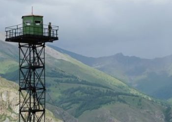 Өзбекстандын аймагына кирип кеткен Кыргыз жараны кайтарылды