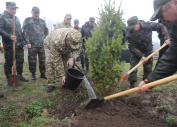 Камчыбек Ташиев Чүйдөгү ишембиликке жана көчөт отургузууга катышты (сүрөт)