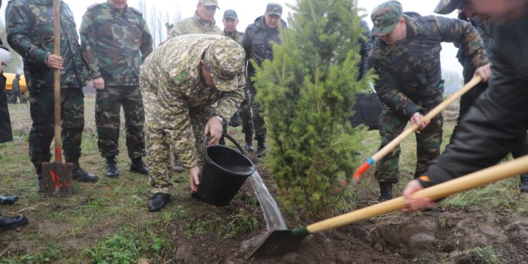 Камчыбек Ташиев Чүйдөгү ишембиликке жана көчөт отургузууга катышты (сүрөт)