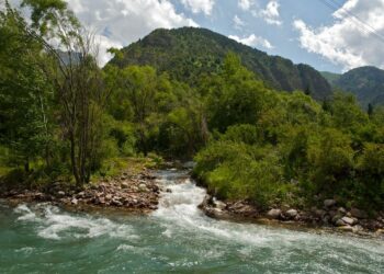 «Бир тууган эжеси да шектелүүдө». Чычкан капчыгайында 23 жаштагы жигит киши колдуу болгон