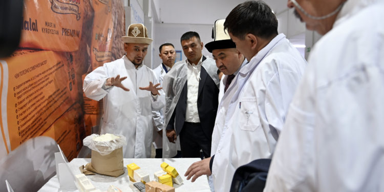 Жакында Жогорку Кеңеште сүт азыктарын өндүрүүчүлөрдүн ишине байланышкан мыйзам долбоору каралат