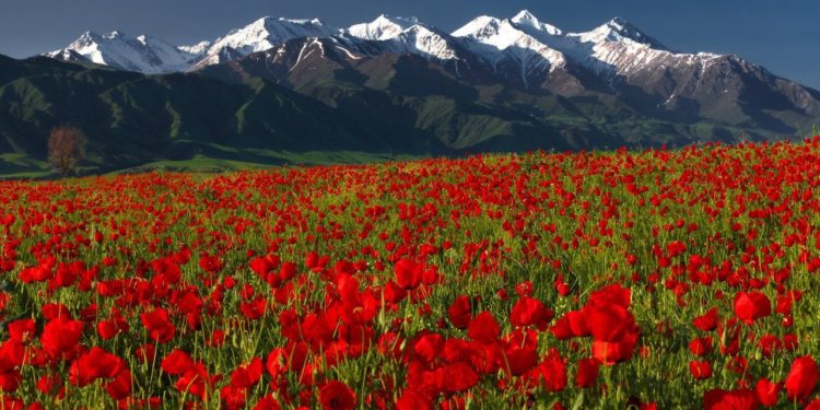 11-майга карата өлкөдө күтүлгөн аба ырайы