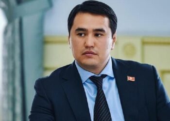 «Туура эмес диагноз коюп жатышат». Депутат 4 айда 16 бала каза болгонун айтты