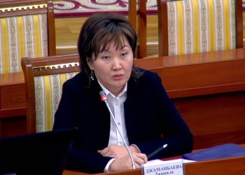 Атыр Абдрахматованын ордуна жаңы акыйкатчы болуп Жамиля Жаманбаева шайланды