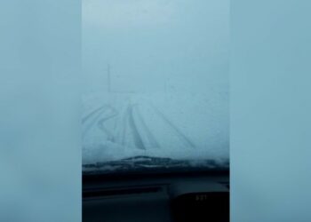 Төө-Ашууда кар жаап жатат (видео)