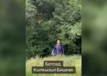 Ботаникалык бакчада кызды сөккөн жаран изделип жатат