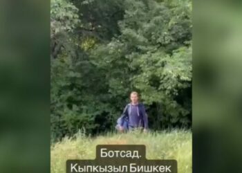 Ботаникалык бакчада кызды сөккөн жаран кармалды