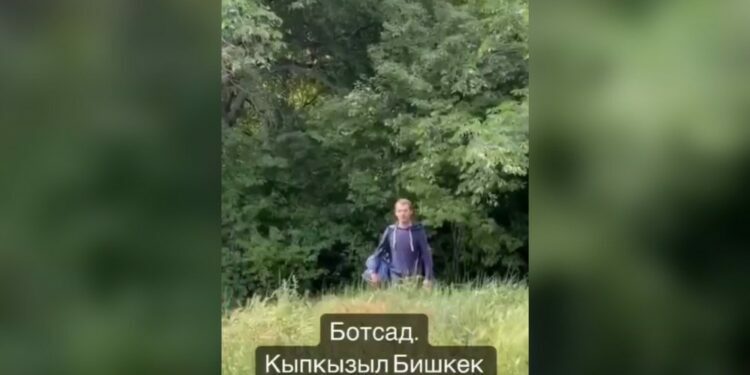 Ботаникалык бакчада кызды сөккөн жаран кармалды