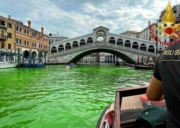 Венециянын башкы каналындагы суу жашыл түскө боёлду (видео)