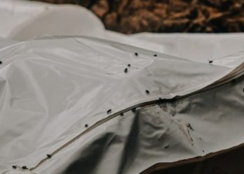 Бишкектеги курулуп жаткан көп кабаттуу үйдөн 15 жаштагы кыздын жансыз денеси табылды