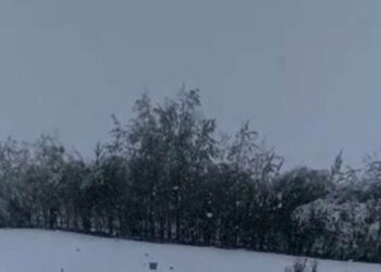 «Жай эмес, кыш келди». Нарында кар жаады (видео)