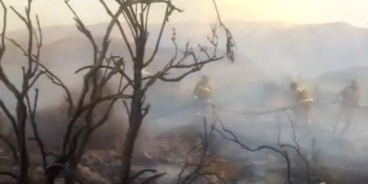 Боомдо чыккан өрт чектөөгө алынды