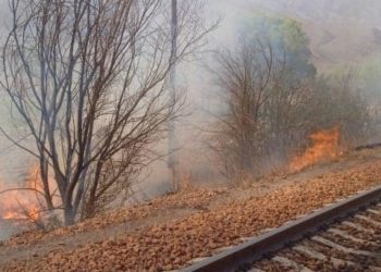 Бишкек-Нарын-Торугарт жолундагы өрт чектөөгө алынды