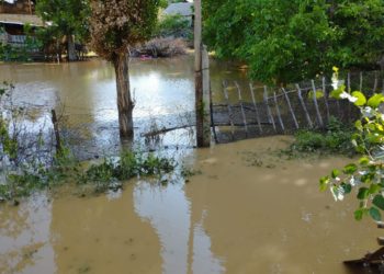 Жалал-Абадда сел жүрүп, 15 үйгө суу кирди