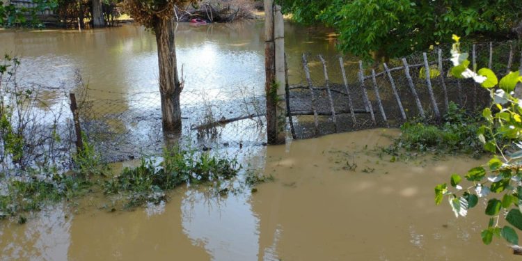 Жалал-Абадда сел жүрүп, 15 үйгө суу кирди