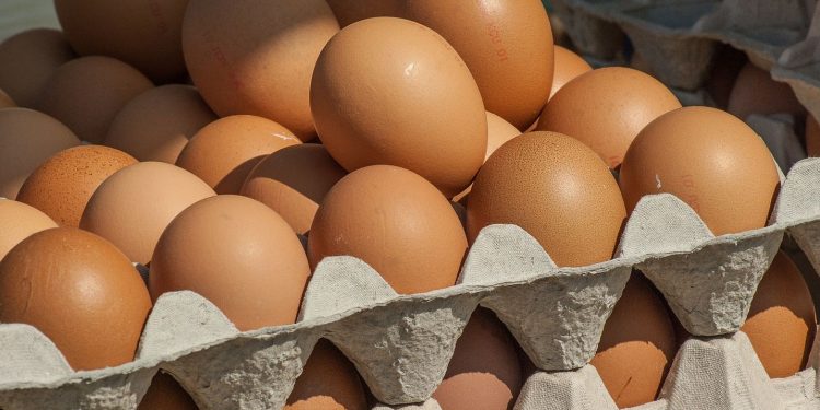 Айыл чарба министрлиги: «Кыргызстанда быйыл жумуртка көбөйдү»